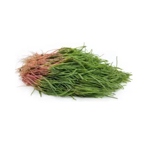 Barba di Frate fresca
