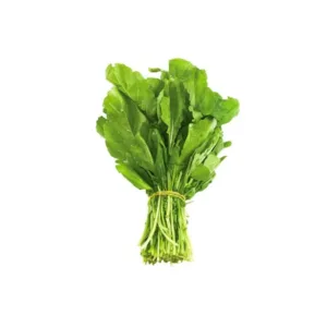 Rucola fresca con foglie verdi
